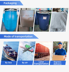Guangzhou Shouyi Research New Materials Co., Ltd.